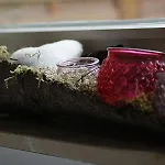 Waldburg 度假居